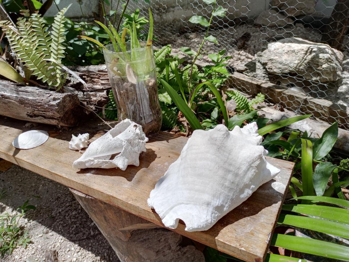 Appartamento Mi Cuartito en Bacalar Esterno foto
